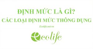 định mức là gì?