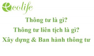 Thông tư là gì?